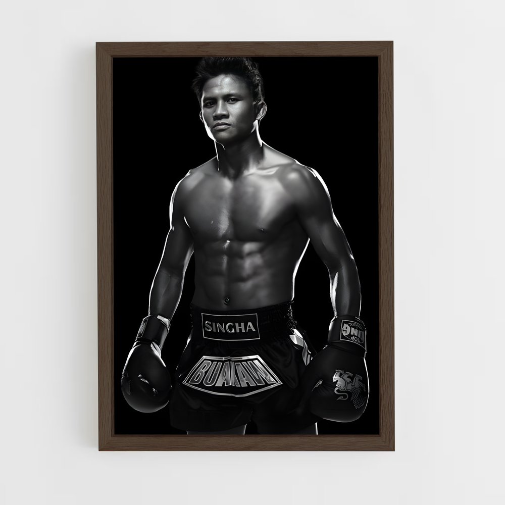 Poster L'Ombre du Champion – affiche Kick-boxing (vue 5)
